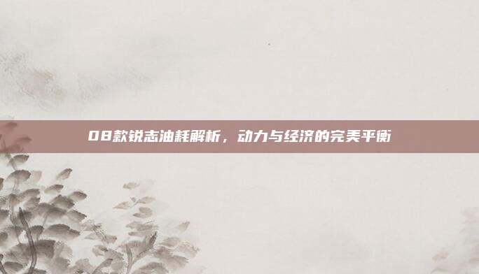 08款锐志油耗解析,动力与经济的完美平衡
