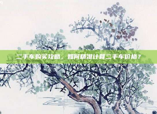 二手车购买攻略,如何精准计算二手车价格?
