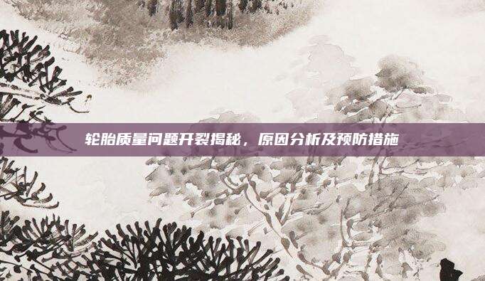 轮胎质量问题开裂揭秘,原因分析及预防措施