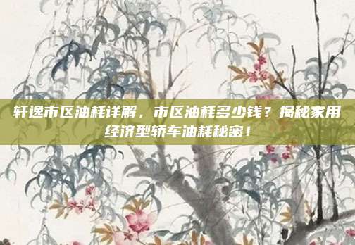 轩逸市区油耗详解,市区油耗多少钱?揭秘家用经济型轿车油耗秘密!