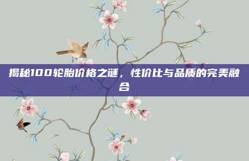 揭秘100轮胎价格之谜,性价比与品质的完美融合