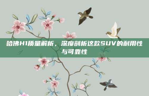 哈佛H1质量解析,深度剖析这款SUV的耐用性与可靠性