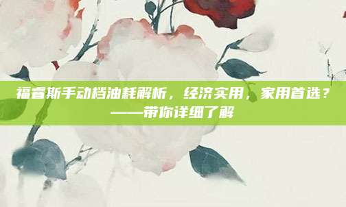 福睿斯手动档油耗解析,经济实用,家用首选?——带你详细了解