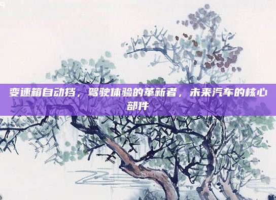变速箱自动挡,驾驶体验的革新者,未来汽车的核心部件