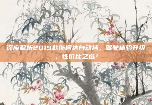 深度解析2019款斯柯达自动挡,驾驶体验升级,性价比之选!