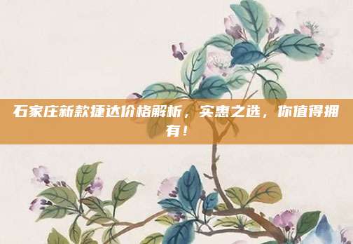 石家庄新款捷达价格解析,实惠之选,你值得拥有!