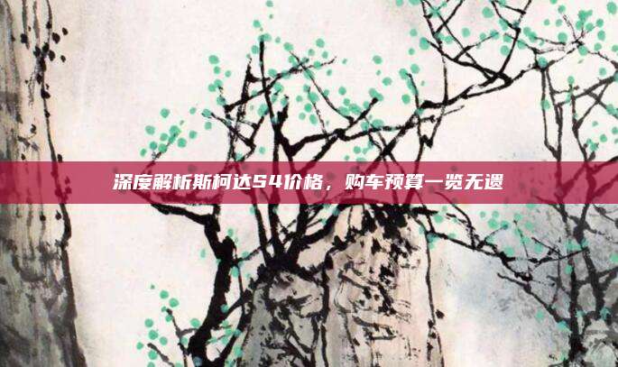 深度解析斯柯达S4价格,购车预算一览无遗