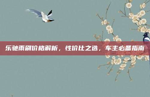 乐驰雨刷价格解析，性价比之选，车主必备指南