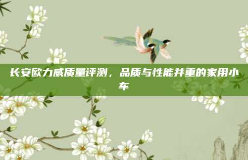 长安欧力威质量评测，品质与性能并重的家用小车