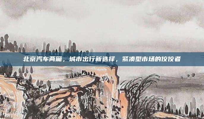北京汽车两厢，城市出行新选择，紧凑型市场的佼佼者