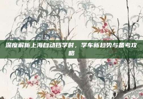 深度解析上海自动挡学时，学车新趋势与备考攻略