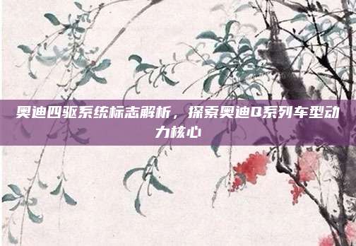 奥迪四驱系统标志解析，探索奥迪Q系列车型动力核心