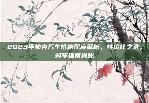 2023年帅克汽车价格深度解析，性价比之选，购车指南揭秘