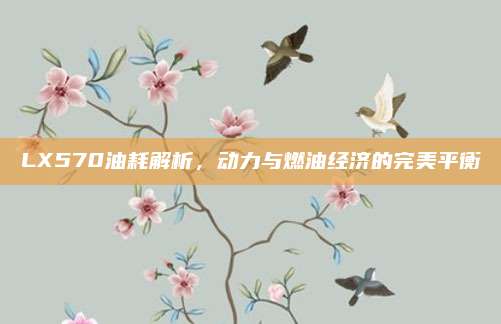 LX570油耗解析，动力与燃油经济的完美平衡