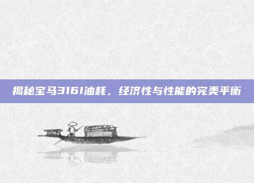 揭秘宝马316I油耗，经济性与性能的完美平衡