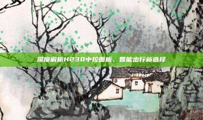 深度解析H230中控面板，智能出行新选择