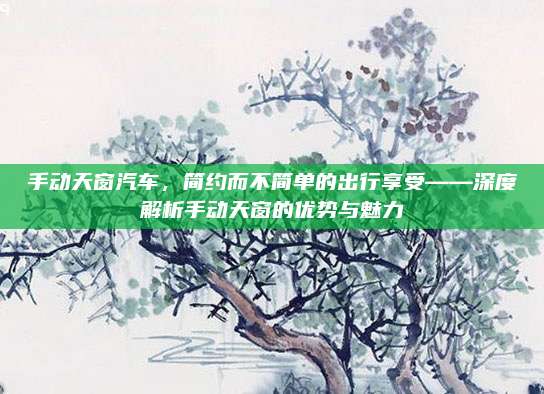 手动天窗汽车，简约而不简单的出行享受——深度解析手动天窗的优势与魅力