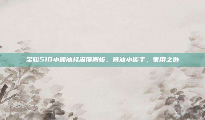 宝骏510小熊油耗深度解析，省油小能手，家用之选