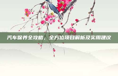 汽车保养全攻略，全方位项目解析及实用建议