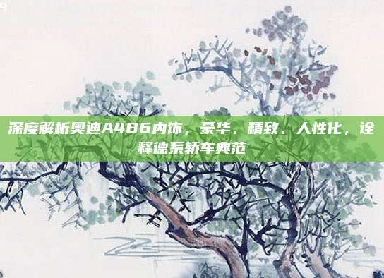 深度解析奥迪A4B6内饰，豪华、精致、人性化，诠释德系轿车典范
