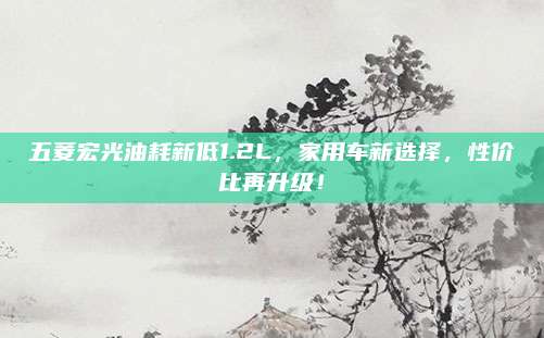 五菱宏光油耗新低1.2L，家用车新选择，性价比再升级！