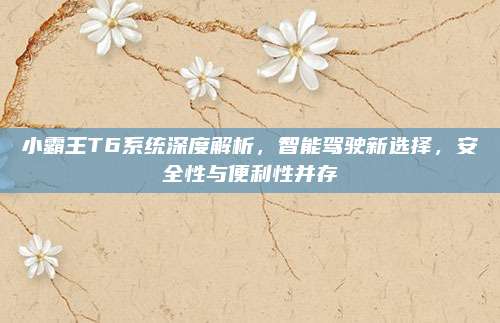 小霸王T6系统深度解析，智能驾驶新选择，安全性与便利性并存