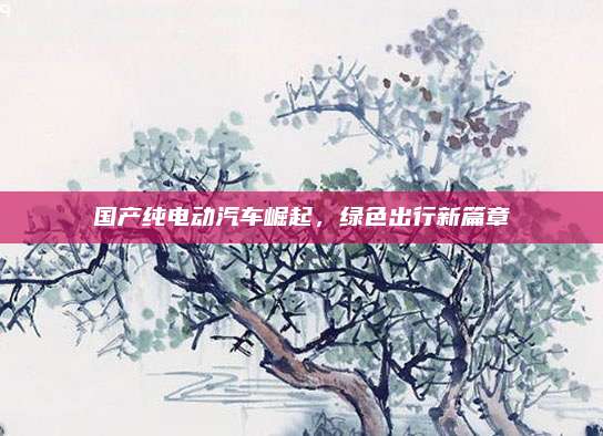 国产纯电动汽车崛起，绿色出行新篇章