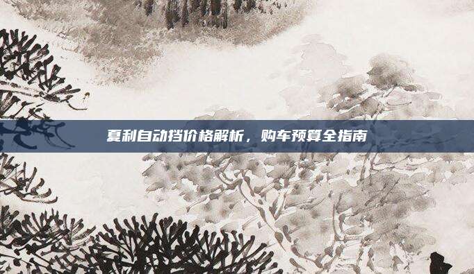 夏利自动挡价格解析，购车预算全指南