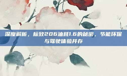 深度解析，标致206油耗1.6的秘密，节能环保与驾驶体验并存