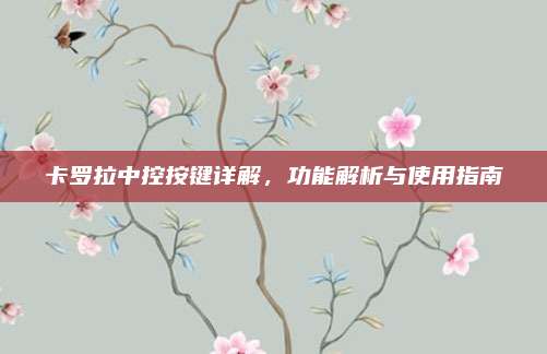 卡罗拉中控按键详解，功能解析与使用指南