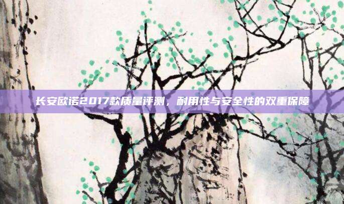 长安欧诺2017款质量评测，耐用性与安全性的双重保障