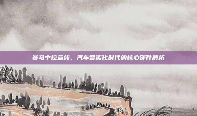 赛马中控盒线，汽车智能化时代的核心部件解析