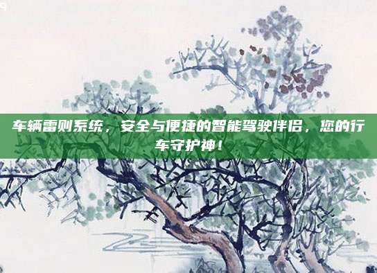 车辆雷则系统，安全与便捷的智能驾驶伴侣，您的行车守护神！
