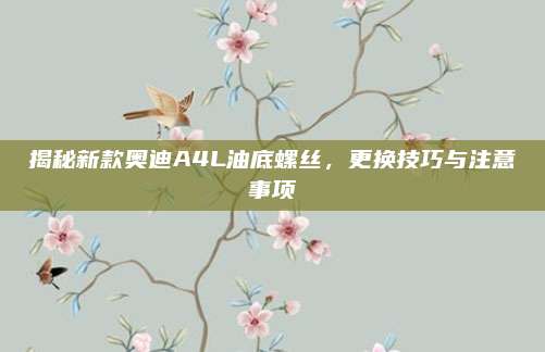 揭秘新款奥迪A4L油底螺丝，更换技巧与注意事项