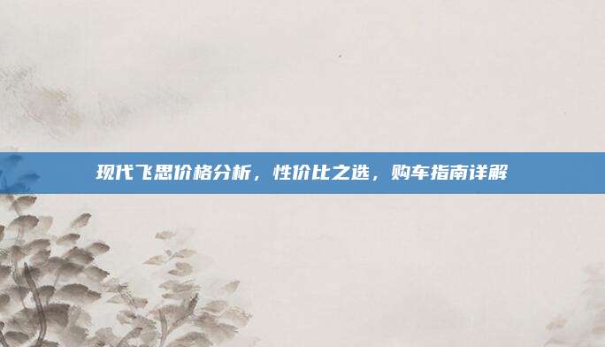 现代飞思价格分析，性价比之选，购车指南详解