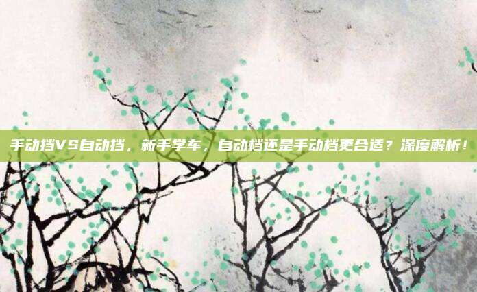手动挡VS自动挡，新手学车，自动档还是手动档更合适？深度解析！