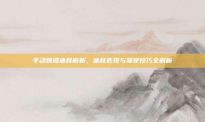 手动雅阁油耗解析，油耗表现与驾驶技巧全解析
