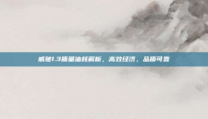 威驰1.3质量油耗解析，高效经济，品质可靠