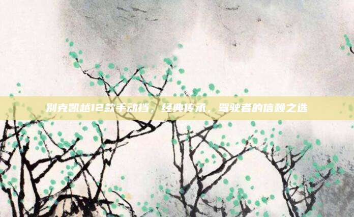 别克凯越12款手动挡，经典传承，驾驶者的信赖之选
