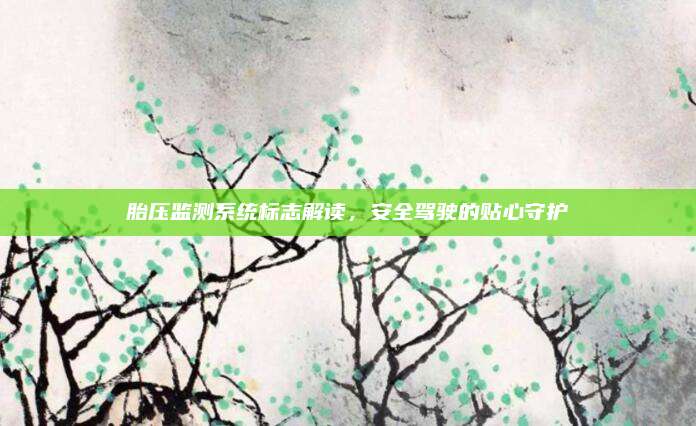 胎压监测系统标志解读，安全驾驶的贴心守护