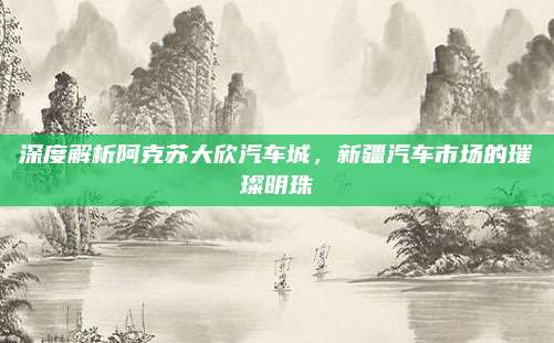 深度解析阿克苏大欣汽车城，新疆汽车市场的璀璨明珠