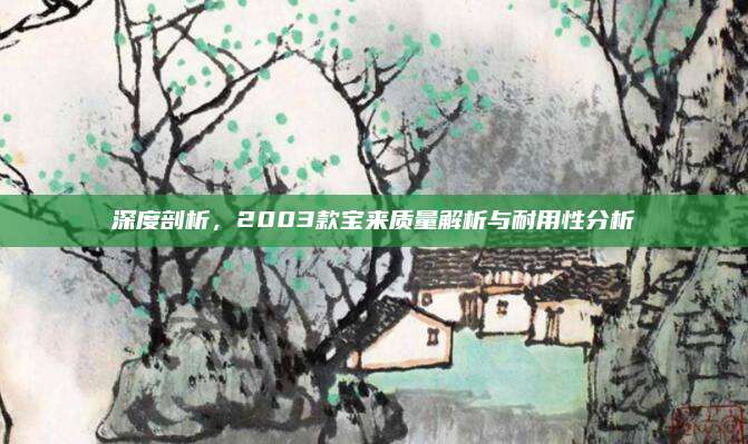 深度剖析，2003款宝来质量解析与耐用性分析