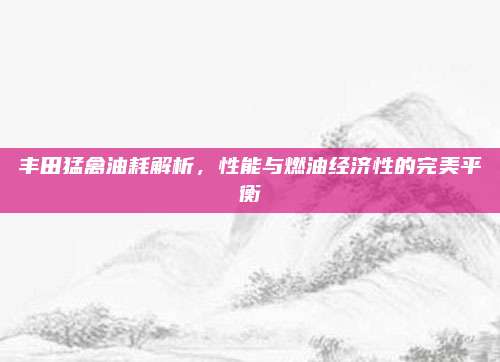 丰田猛禽油耗解析，性能与燃油经济性的完美平衡