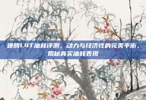 速腾1.4T油耗评测,动力与经济性的完美平衡,揭秘真实油耗表现