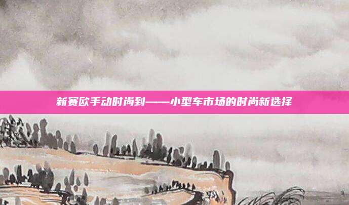 新赛欧手动时尚到——小型车市场的时尚新选择