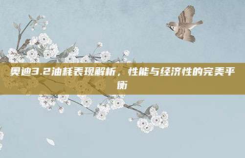 奥迪3.2油耗表现解析,性能与经济性的完美平衡