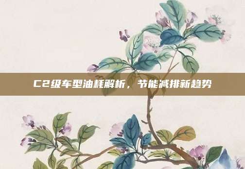 C2级车型油耗解析，节能减排新趋势