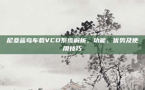 尼桑蓝鸟车载VCD系统解析,功能、优势及使用技巧