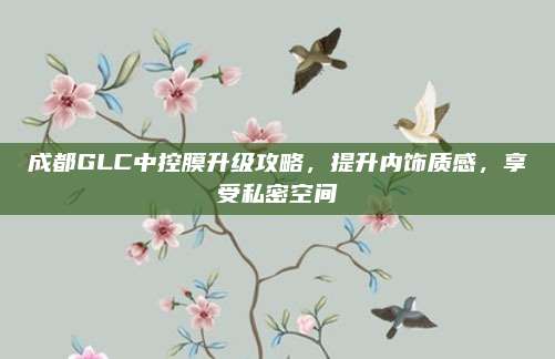 成都GLC中控膜升级攻略,提升内饰质感,享受私密空间
