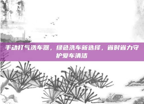 手动打气洗车器，绿色洗车新选择，省时省力守护爱车清洁
